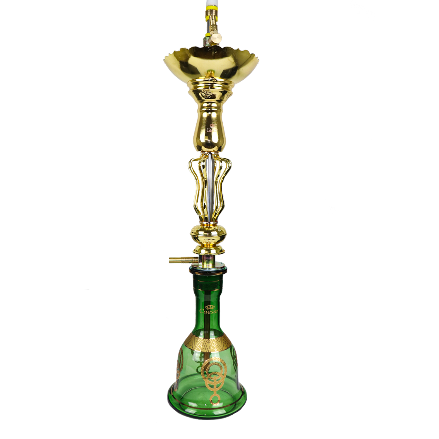 Caesar Shisha Babylon Golden - Green