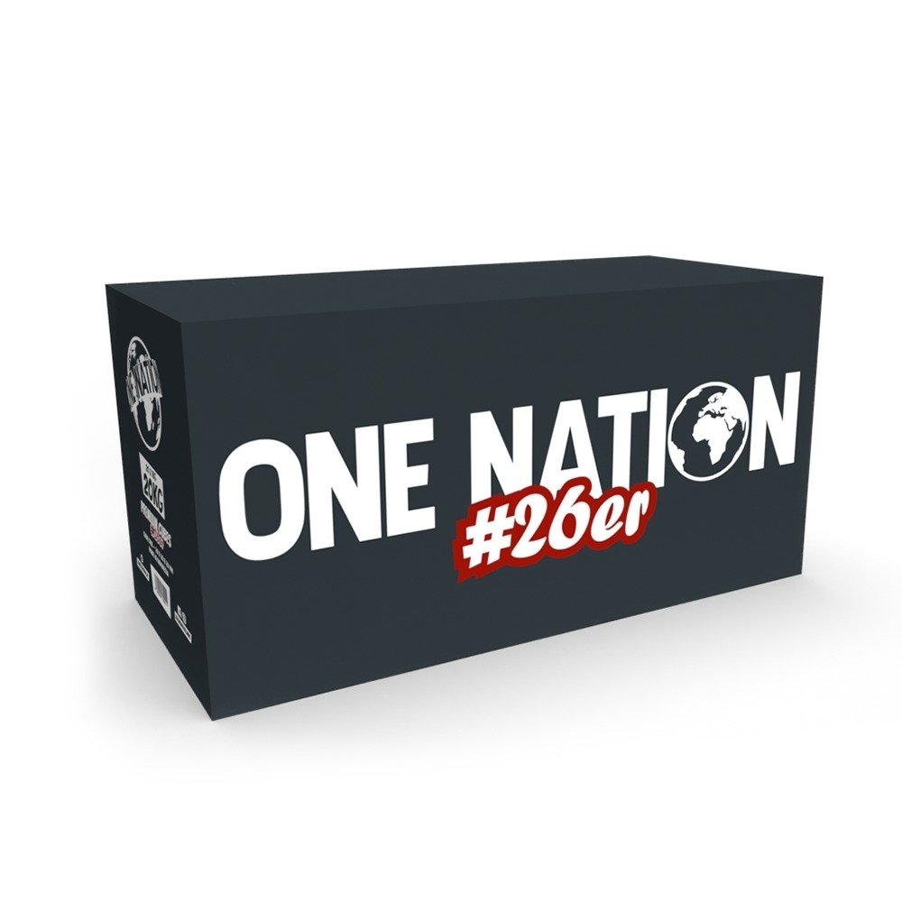 One Nation #26 Naturkohle 20kg Gastro